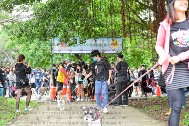 2021第四屆奔跑吧!毛小孩路跑綠寶石寵物公園場