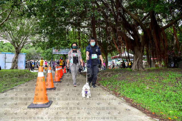 2021第四屆奔跑吧!毛小孩路跑綠寶石寵物公園場