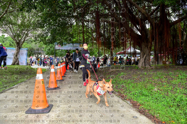 2021第四屆奔跑吧!毛小孩路跑綠寶石寵物公園場