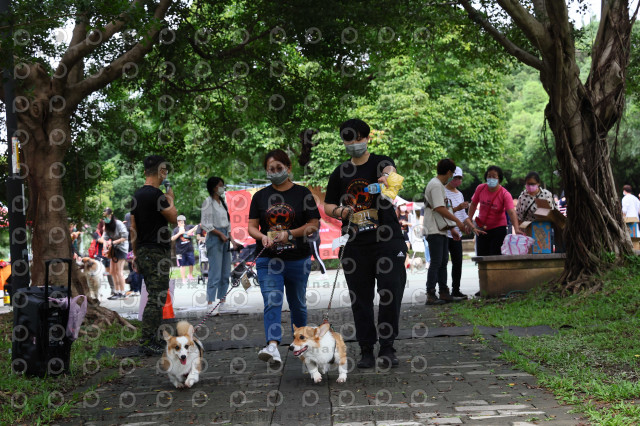 2022第五屆奔跑吧！毛小孩公益路跑-綠寶石運動公園