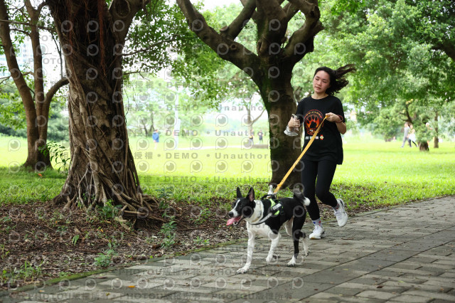 2022第五屆奔跑吧！毛小孩公益路跑-綠寶石運動公園