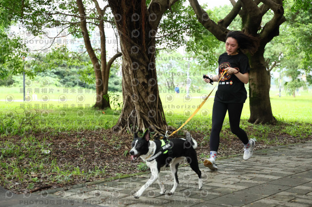 2022第五屆奔跑吧！毛小孩公益路跑-綠寶石運動公園