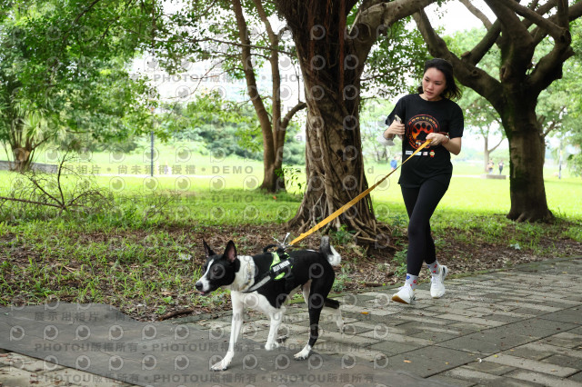 2022第五屆奔跑吧！毛小孩公益路跑-綠寶石運動公園