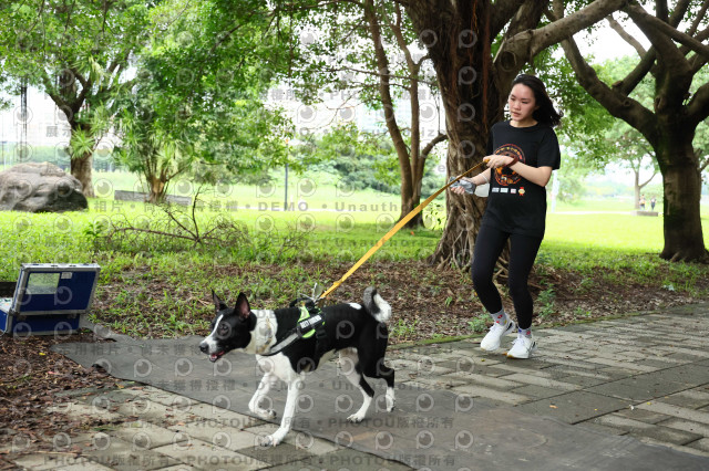 2022第五屆奔跑吧！毛小孩公益路跑-綠寶石運動公園