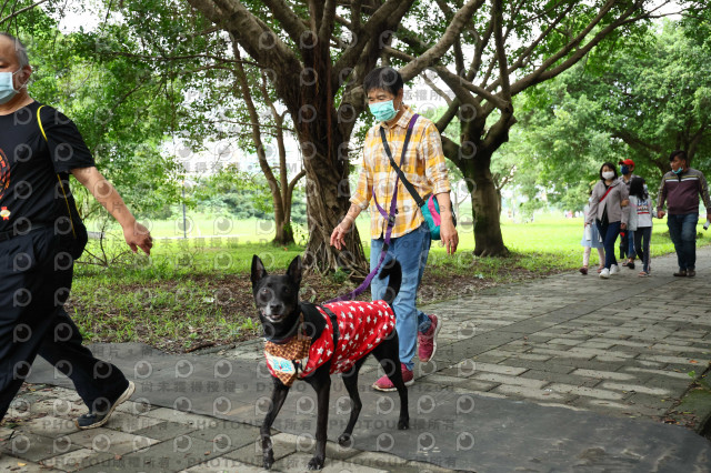 2022第五屆奔跑吧！毛小孩公益路跑-綠寶石運動公園