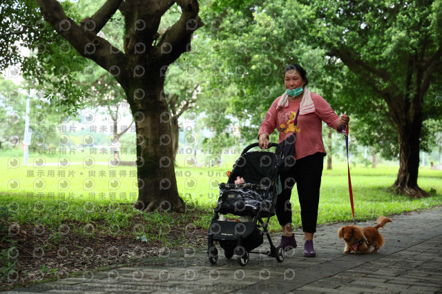 2022第五屆奔跑吧！毛小孩公益路跑-綠寶石運動公園