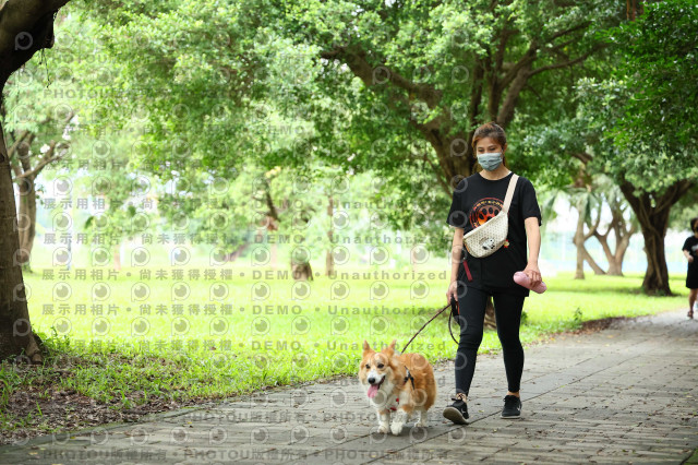 2022第五屆奔跑吧！毛小孩公益路跑-綠寶石運動公園