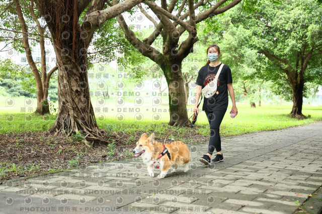 2022第五屆奔跑吧！毛小孩公益路跑-綠寶石運動公園