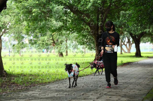 2022第五屆奔跑吧！毛小孩公益路跑-綠寶石運動公園