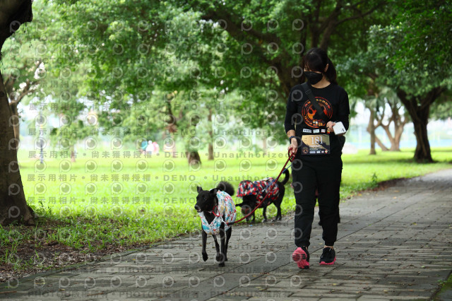 2022第五屆奔跑吧！毛小孩公益路跑-綠寶石運動公園