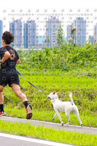 2022第五屆奔跑吧！毛小孩公益路跑-綠寶石運動公園