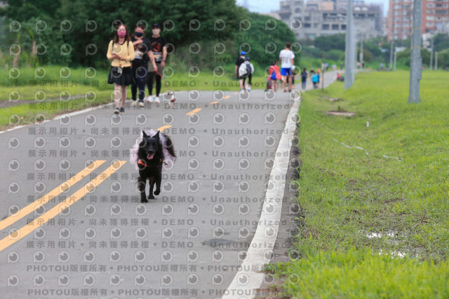 2022第五屆奔跑吧！毛小孩公益路跑-綠寶石運動公園