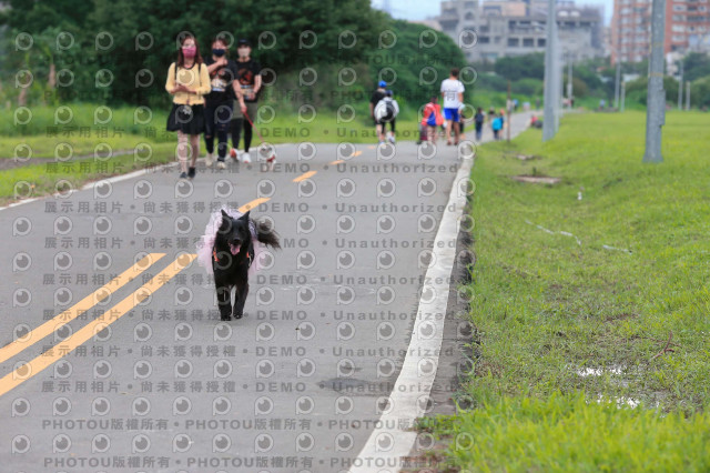 2022第五屆奔跑吧！毛小孩公益路跑-綠寶石運動公園