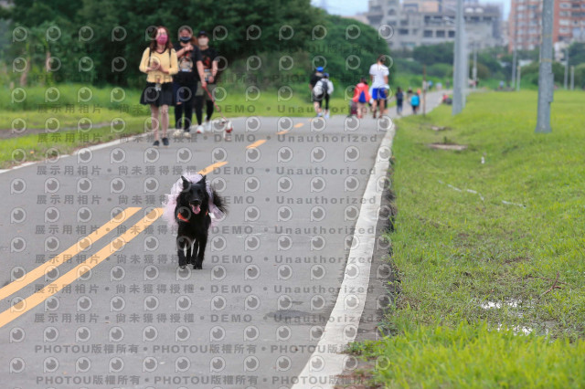 2022第五屆奔跑吧！毛小孩公益路跑-綠寶石運動公園