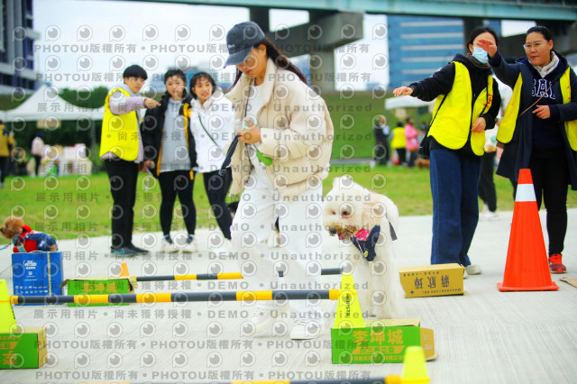 2023咪可思奔跑吧!毛小孩公益路跑 -三重水樣加開場