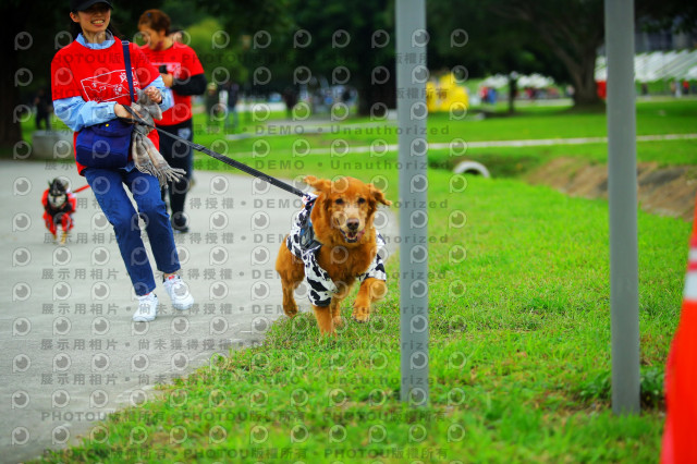 2023咪可思奔跑吧!毛小孩公益路跑 -三重水樣加開場