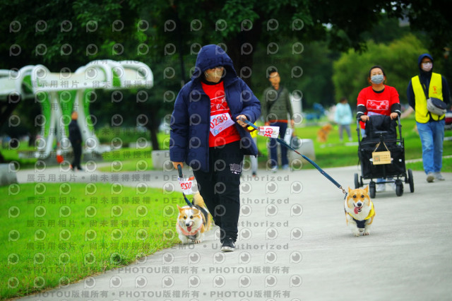 2023咪可思奔跑吧!毛小孩公益路跑 -三重水樣加開場