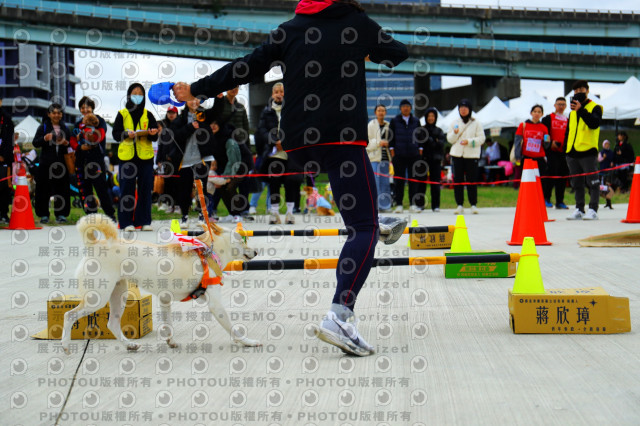 2023咪可思奔跑吧!毛小孩公益路跑 -三重水樣加開場