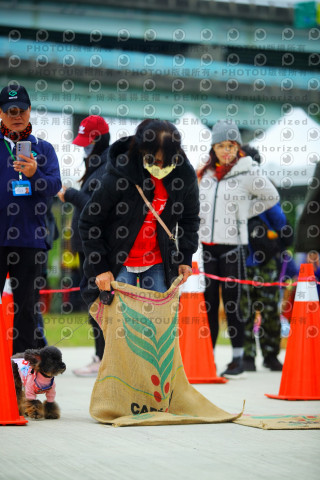 2023咪可思奔跑吧!毛小孩公益路跑 -三重水樣加開場