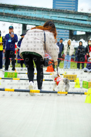 2023咪可思奔跑吧!毛小孩公益路跑 -三重水樣加開場