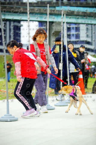 2023咪可思奔跑吧!毛小孩公益路跑 -三重水樣加開場