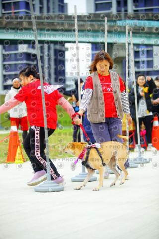 2023咪可思奔跑吧!毛小孩公益路跑 -三重水樣加開場