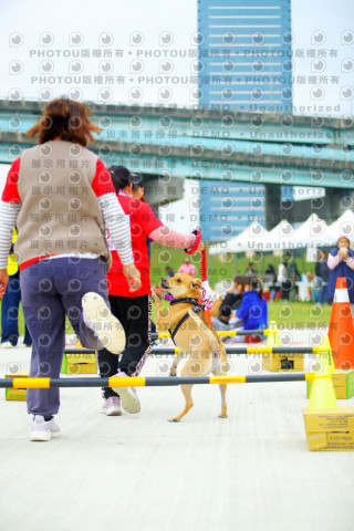 2023咪可思奔跑吧!毛小孩公益路跑 -三重水樣加開場