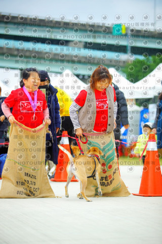 2023咪可思奔跑吧!毛小孩公益路跑 -三重水樣加開場