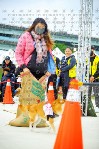 2023咪可思奔跑吧!毛小孩公益路跑 -三重水樣加開場