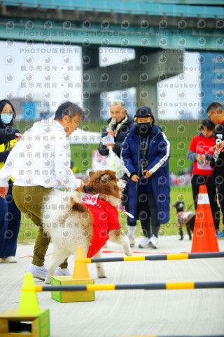 2023咪可思奔跑吧!毛小孩公益路跑 -三重水樣加開場