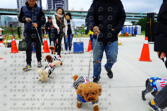 2023咪可思奔跑吧!毛小孩公益路跑 -三重水樣加開場