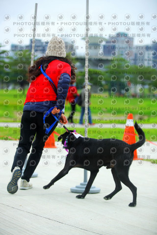 2023咪可思奔跑吧!毛小孩公益路跑 -三重水樣加開場