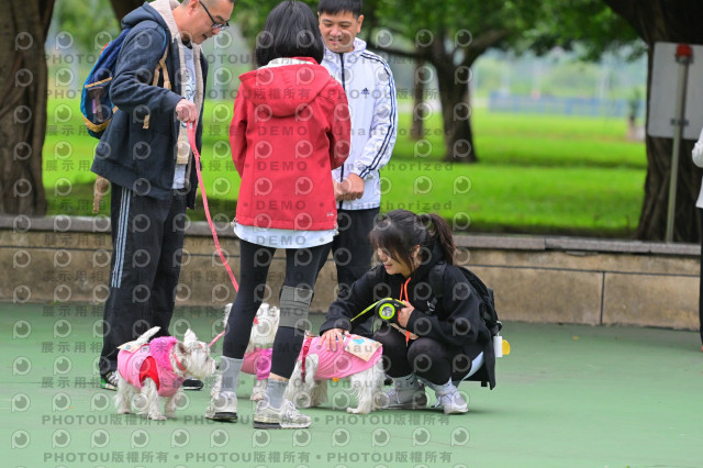 2024第六屆奔跑吧!毛小孩公益路跑