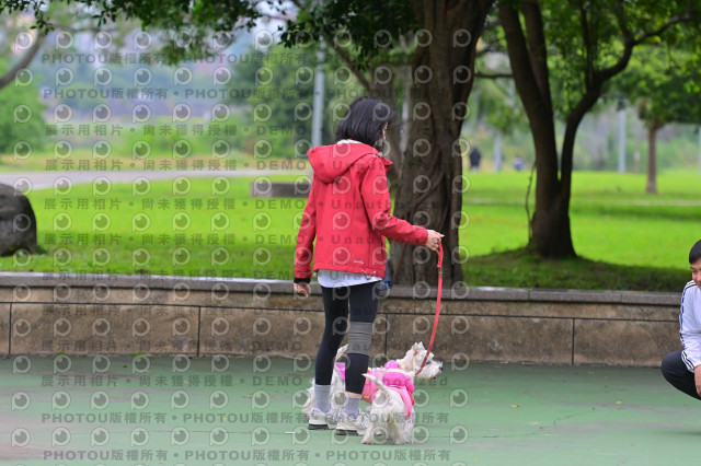 2024第六屆奔跑吧!毛小孩公益路跑