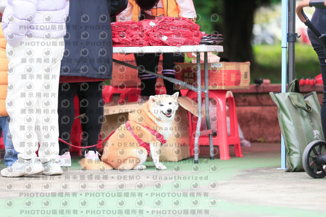 2024第六屆奔跑吧!毛小孩公益路跑