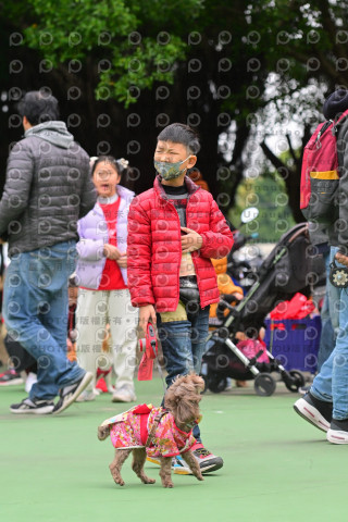 2024第六屆奔跑吧!毛小孩公益路跑