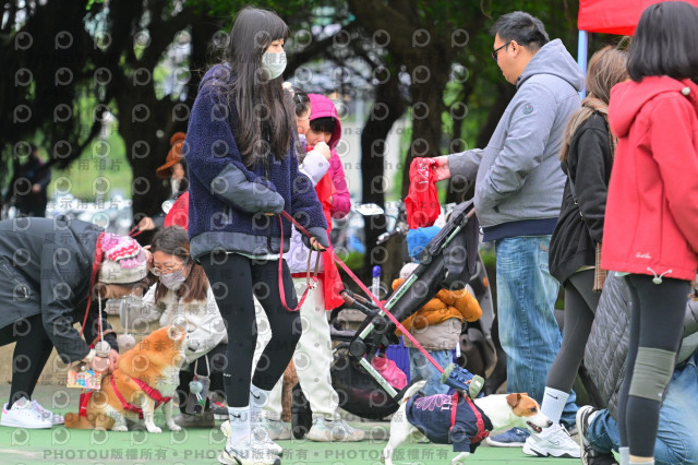 2024第六屆奔跑吧!毛小孩公益路跑