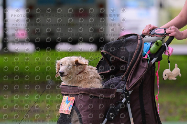 2024第六屆奔跑吧!毛小孩公益路跑