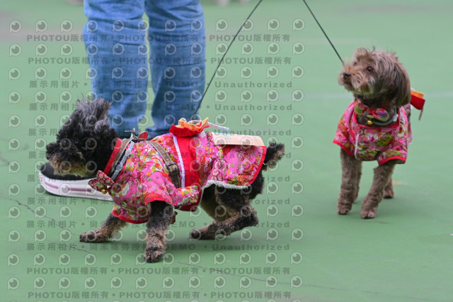 2024第六屆奔跑吧!毛小孩公益路跑