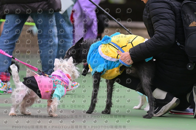 2024第六屆奔跑吧!毛小孩公益路跑