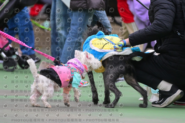 2024第六屆奔跑吧!毛小孩公益路跑