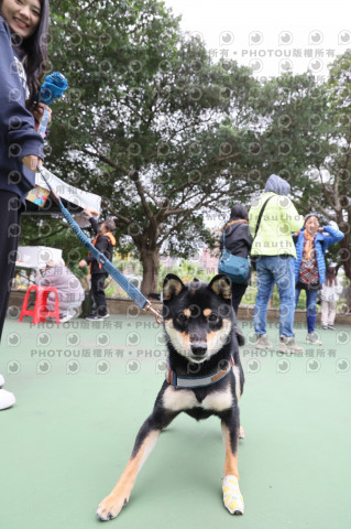 2024第六屆奔跑吧!毛小孩公益路跑