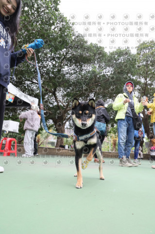 2024第六屆奔跑吧!毛小孩公益路跑