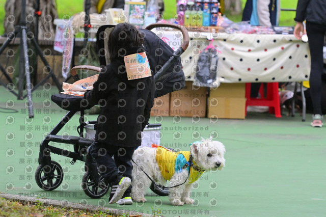 2024第六屆奔跑吧!毛小孩公益路跑