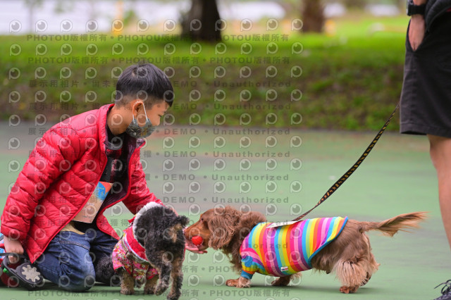 2024第六屆奔跑吧!毛小孩公益路跑