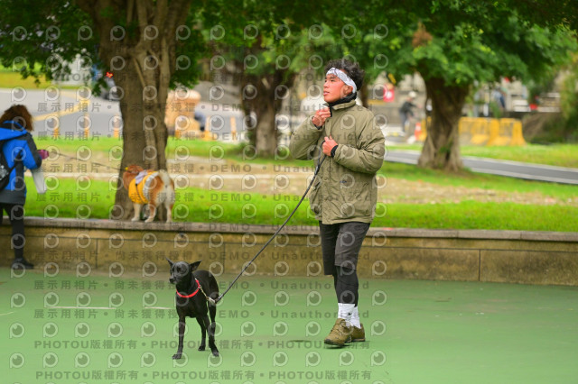 2024第六屆奔跑吧!毛小孩公益路跑