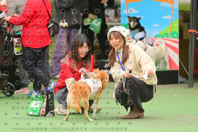 2024第六屆奔跑吧!毛小孩公益路跑