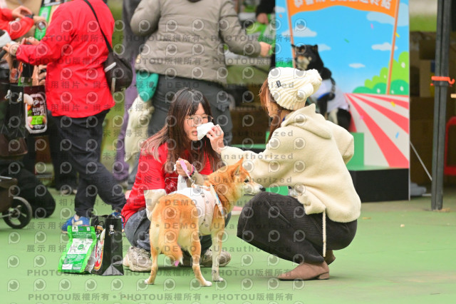 2024第六屆奔跑吧!毛小孩公益路跑