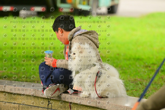 2024第六屆奔跑吧!毛小孩公益路跑