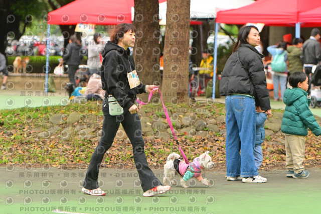 2024第六屆奔跑吧!毛小孩公益路跑